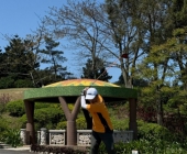 LINE_ALBUM_20250322揚昇春季例賽_250324_13